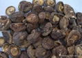 dried shiitake 1