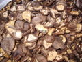 dried shiitake 2