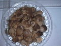 pleurotus mushrooms  in brine