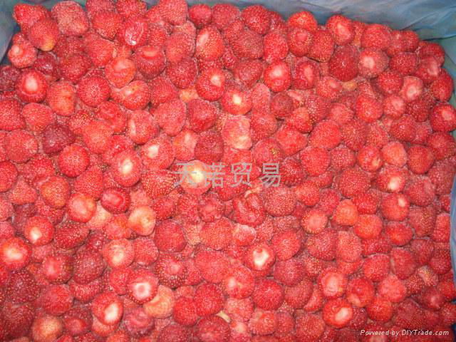 IQF STRAWBERRIES