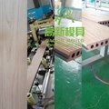 Preminum deck board mold