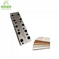 second-hand WPC extrusion mould 150*25 second hand extrusion mould profile 4