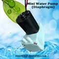 Micro diaphragm water pump 6/9/12V DC with high-quality and new technology