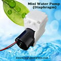 Lower heat, longer lifetime 6/9/12/24 V brushless Mini water Pump with New Techn