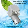 High-quality small water pump with 35 kpa, DC or BLDC with New Technology 