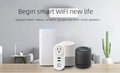 2USB universal wifi smart home socket Smart Life Alexa Smart Plug