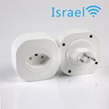 EU/swiss/Isreal/Italy/UK/US/AUS standard wifi smart home plug