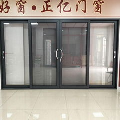 Aluminum sliding doors with mosquito net