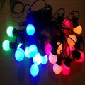 24V G50 LED festoon  belt lights 2