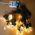 24V G50 LED festoon  belt lights 6