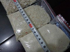 鈣質沙，南海鈣質沙，菲律賓沙