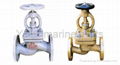 Marine globe valve