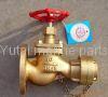 Marine bronze fire valves