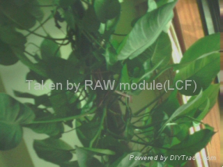 LCF-23T(RAW) 528 Serial Camera Module with RAW function 3