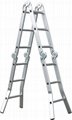 ladder 1