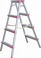 ladder