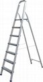 ladder 1