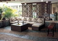 PE rattan sofa furniture