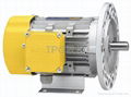 TPG BRUSHLESS DC MOTOR