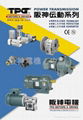 TPG hollow shaft worm gear reducer