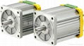 TPG BRUSHLESS DC MOTOR