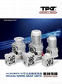 TPG HELICAL WORM GEAR BOX