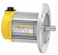 TPG SPECIAL TYPE BRUSHLESS DC MOTOR (OEM AVAILABLE)