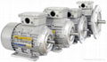 TPG INDUSTRIAL ELECTRIC AC MOTORS