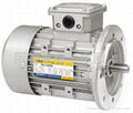 TPG INDUSTRIAL ELECTRIC AC MOTORS