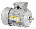 TPG INDUSTRIAL ELECTRIC AC MOTORS