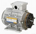 TPG BRAKE MOTORS