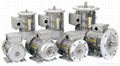 TPG BRAKE MOTORS