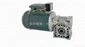 TPG Hollow shaft worm gear reducer