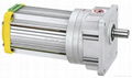 TPG BRUSHLESS GEAR MOTOR