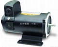 NEWPOWER PERMANENT MAGNET DC MOTOR 3