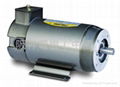 NEWPOWER PERMANENT MAGNET DC MOTOR