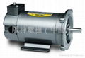 NEWPOWER PERMANENT MAGNET DC MOTOR 3