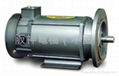 NEWPOWER PERMANENT MAGNET DC MOTOR