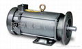 NEWPOWER PERMANENT MAGNET DC MOTOR