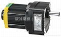 NEWPOWER DC MOTOR