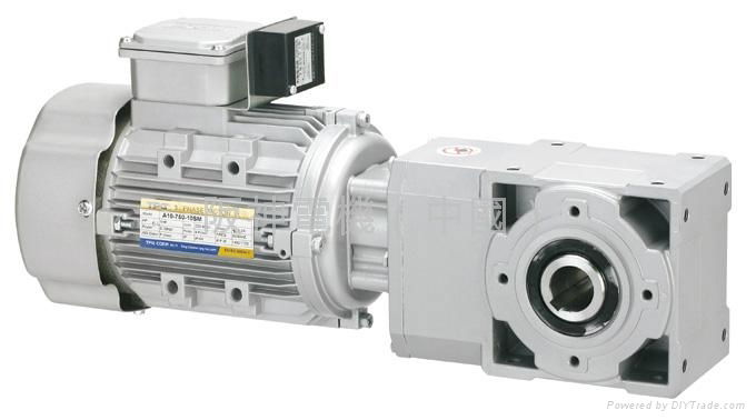 EUROPEAN STYLE GEAR MOTOR