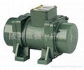 TPG VIBRATION MOTOR