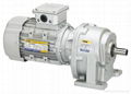 TPG EUROPEAN STYLE GEAR MOTOR