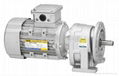 TPG EUROPEAN STYLE GEAR MOTOR