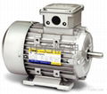 TPG INDUSTRIAL ELECTRIC AC MOTORS