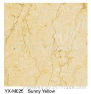 Marble Tiles and Marble Slabs 3