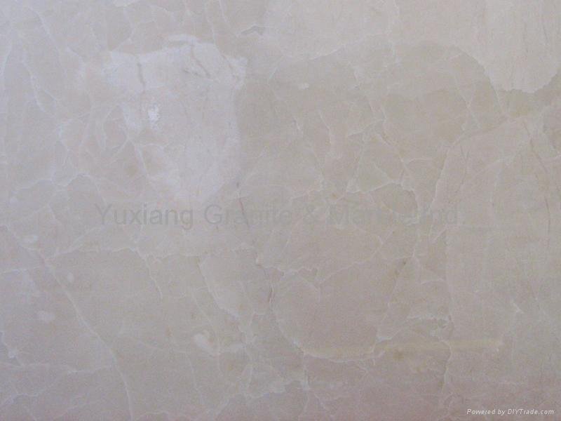 Marble Tiles and Marble Slabs 4