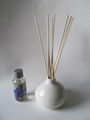 EH011129 aroma oil diffuser  1