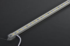 LED outline light