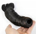 Brazilian Spring Curly Unprocessed Virgin Hair for Salon (Grade 9A) 1